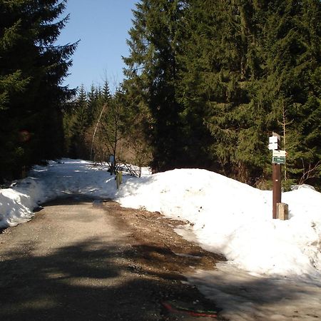 Pension Martinské údolí - dependance Kořenov Exteriér fotografie